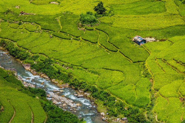 7D6N Magical Mu Cang Chai & Stunning Sapa Tour - photo 25